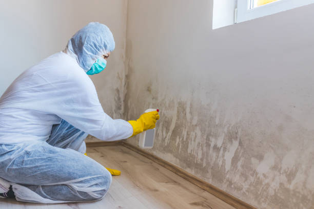 Licensed Crawl Space Mold Removal service in Sanford, CO - WQB Mold Removal